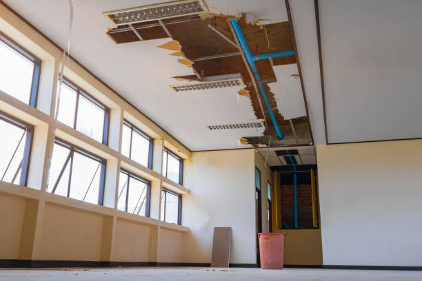 Best Mold removal after water damage  in Serenada, TX
