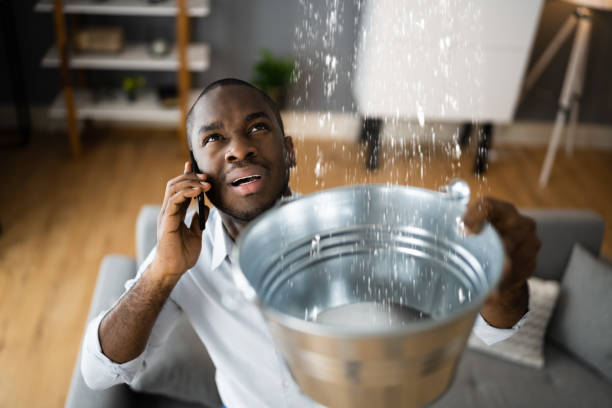 Best Water damage restoration services  in Serenada, TX