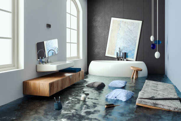 Best Water damage cleanup near me  in Serenada, TX
