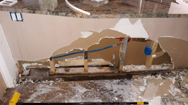 Best Flooded house restoration  in Serenada, TX