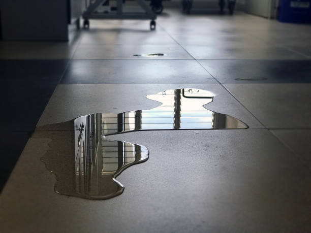 Best Water damage restoration specialists  in Serenada, TX