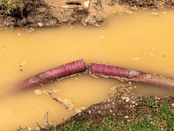 Serenada, TX Water damage restoration Company