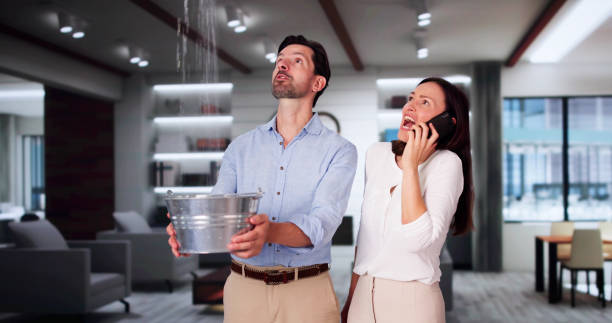 Best Flood restoration services  in Serenada, TX
